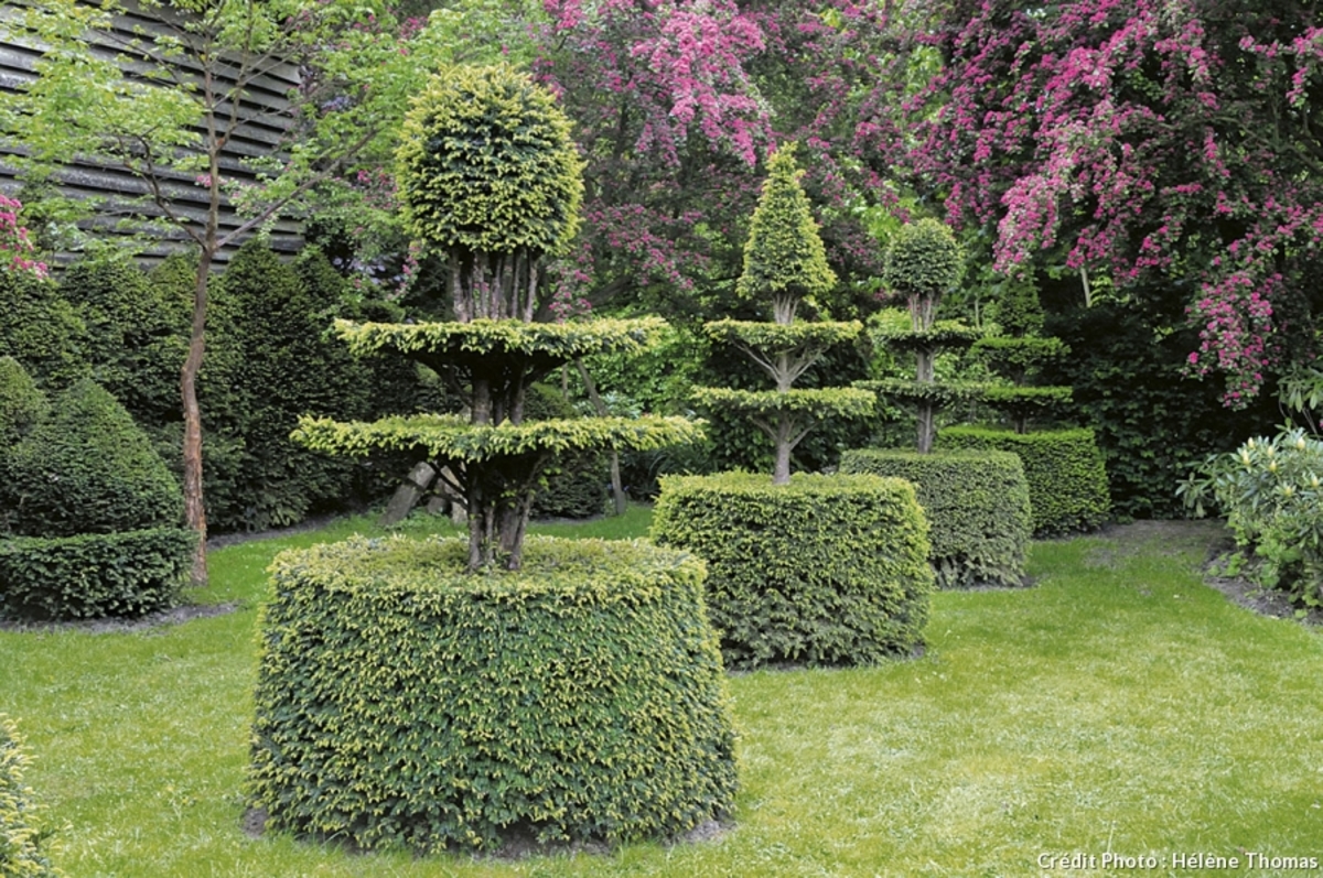 Entretien de Jardin avec crédit d&#8217;impôts Rixheim