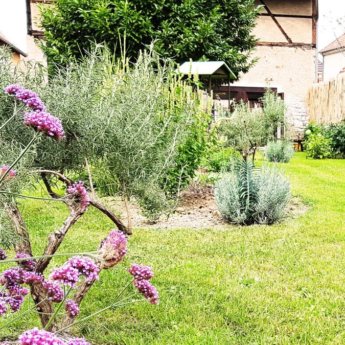 20170907_133432 675X675 | Pays'Art Photos page d’accueil Wittelsheim 0