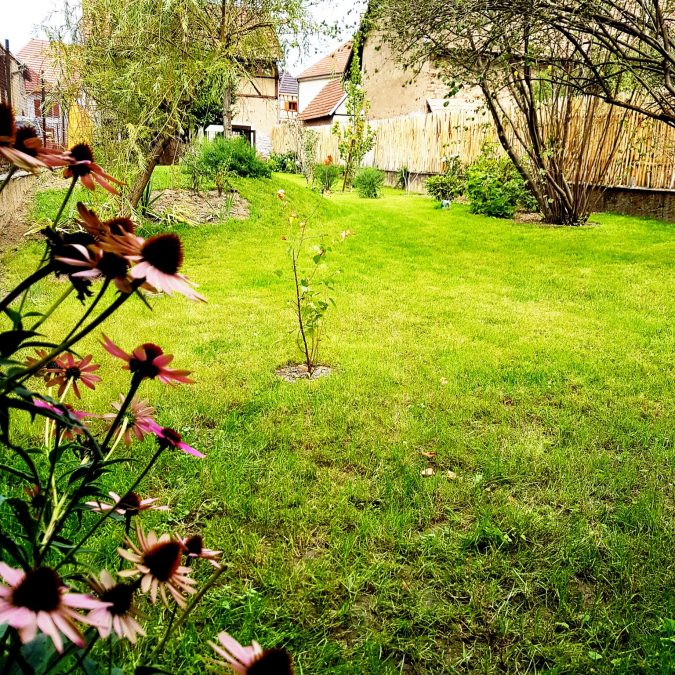 SELCTION JARDINS 675X675 | Pays'Art Photos page d’accueil Mulhouse 5